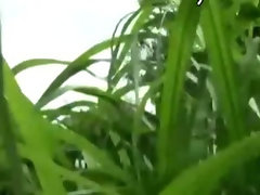 Dude spies on chick sucking and riding dick in the garden
