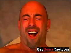 Mature gay bear fucked by fresh teen
