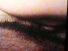 xsx wife