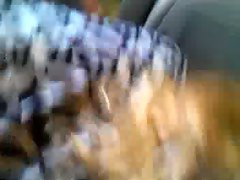 blow job hidden cam