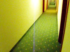 wank in a hotel gangway
