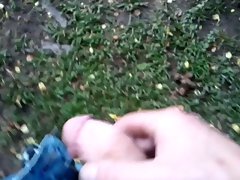 Jerking In Public Park