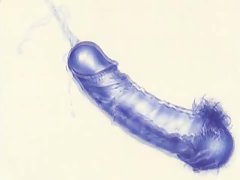 Blue Erection (cartoon erotica)