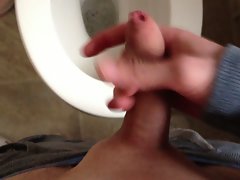 wank in toilet