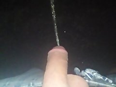 Taking a Piss